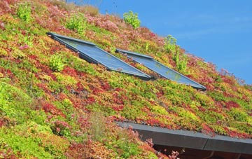 Up Exe living roof systems